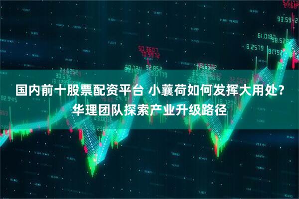 国内前十股票配资平台 小蘘荷如何发挥大用处？华理团队探索产业升级路径